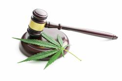 Tenants and Marijuana: What’s a landlord to do?