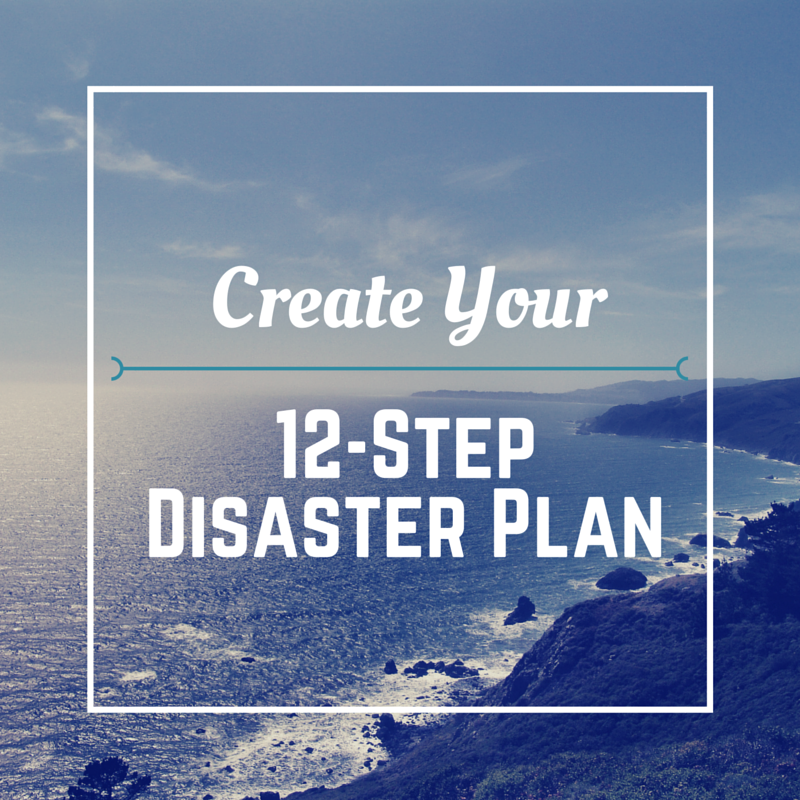 12 Step Disaster Plan (3)