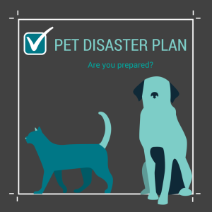 Pet-Disaster-Plan
