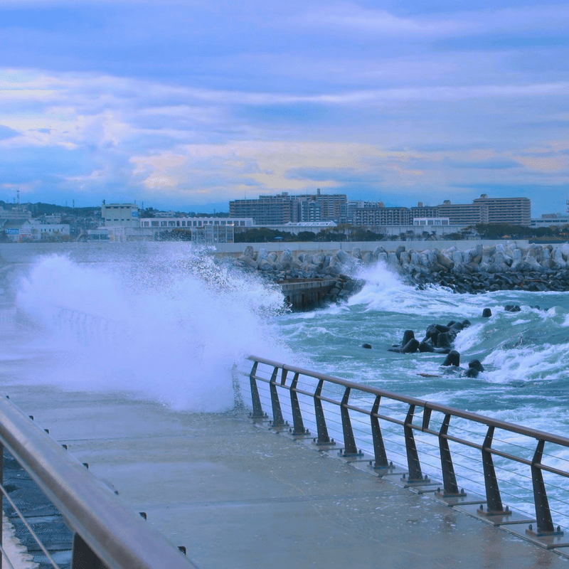 Hurricanes Harvey, Irma, and Maria — Helping Policyholders Recover From a Disastrous Hurricane Season